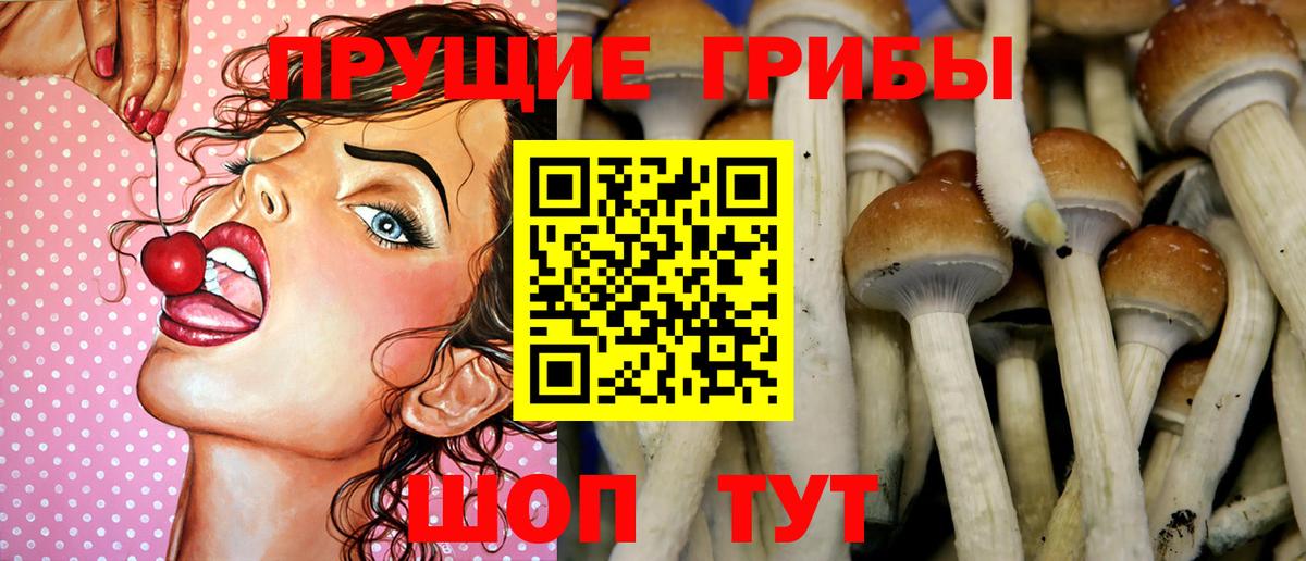 Галлюциногенные грибы мухоморы Кольчугино